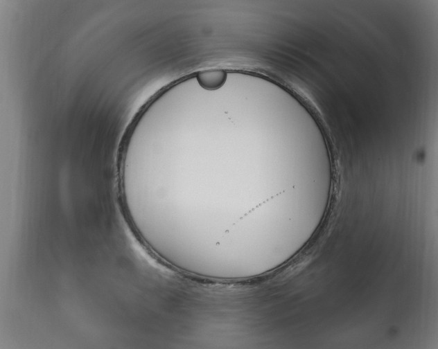 X0000111911087200907271029