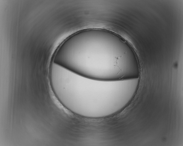 X0000111911088200907271029