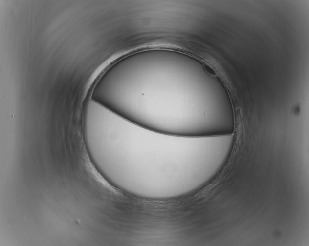 X0000111911092200907271029