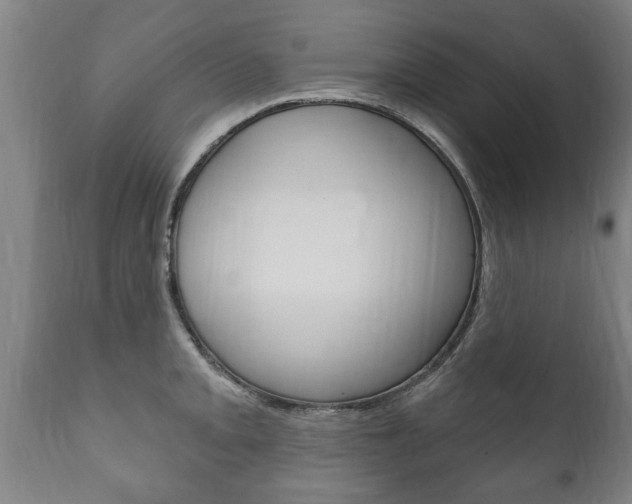X0000111911093200907271029