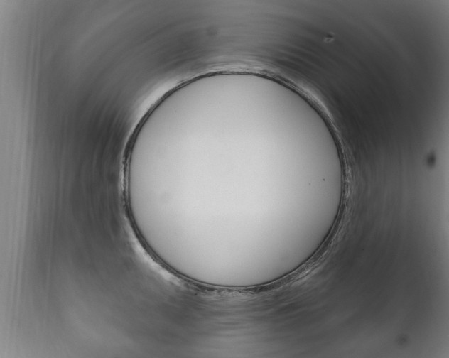 X0000111911095200907271029
