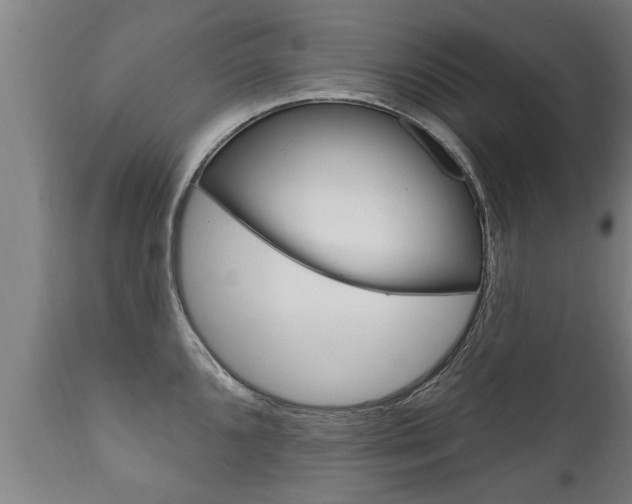 X0000111911096200907271029