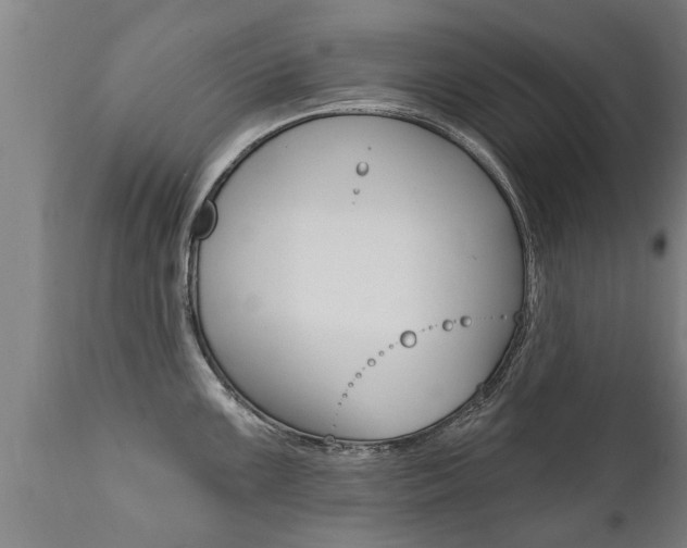 X0000111911099200907271029