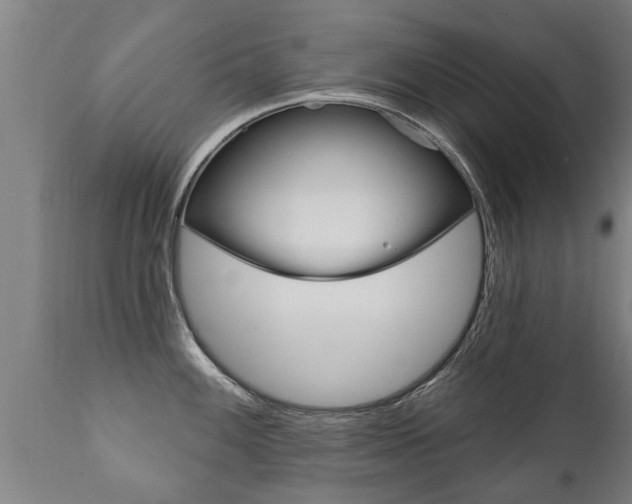 X0000111911100200907271029