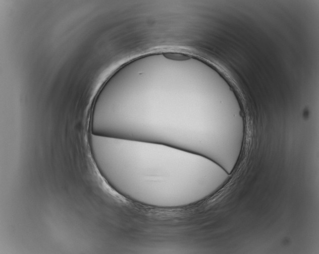 X0000111911102200907271029