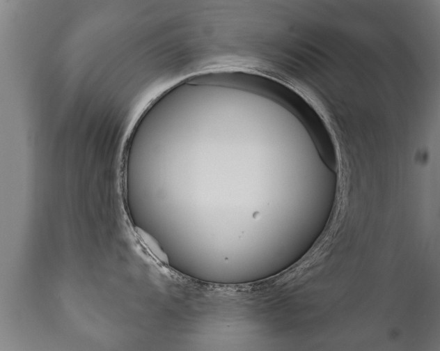 X0000111911104200907271029