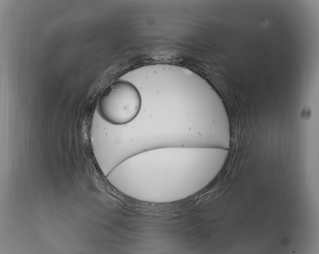 X0000111911106200907271028