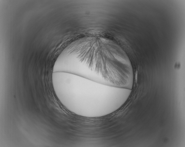 X0000111911107200907271028