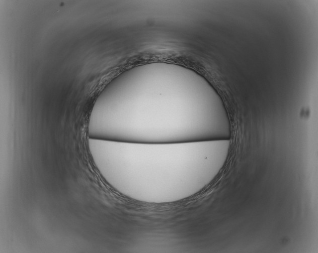 X0000111911109200907271028