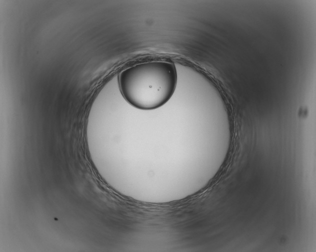 X0000111911110200907271028