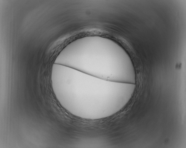 X0000111911111200907271028