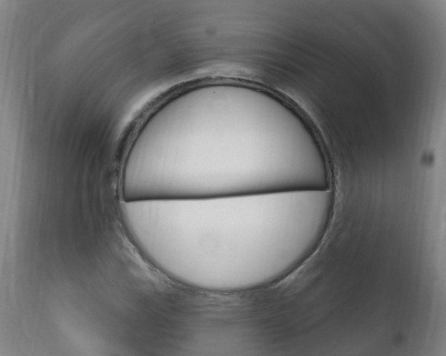 X0000111911115200907271028
