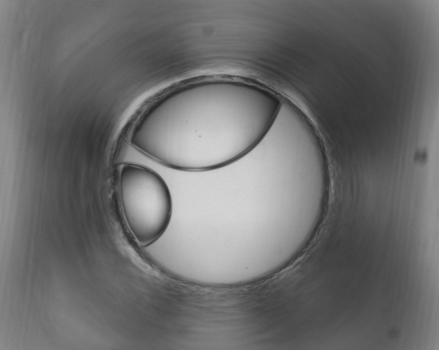 X0000111911116200907271028