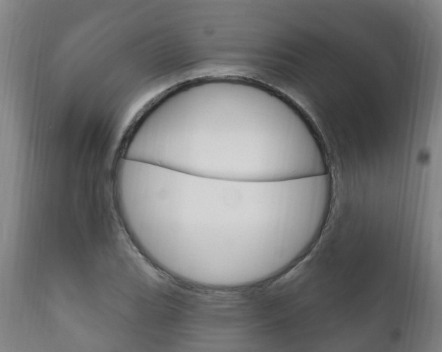 X0000111911119200907271028