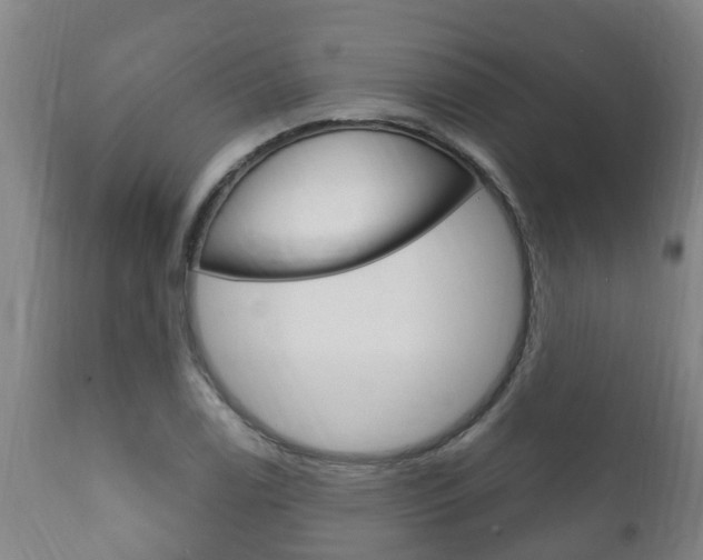 X0000111911122200907271028