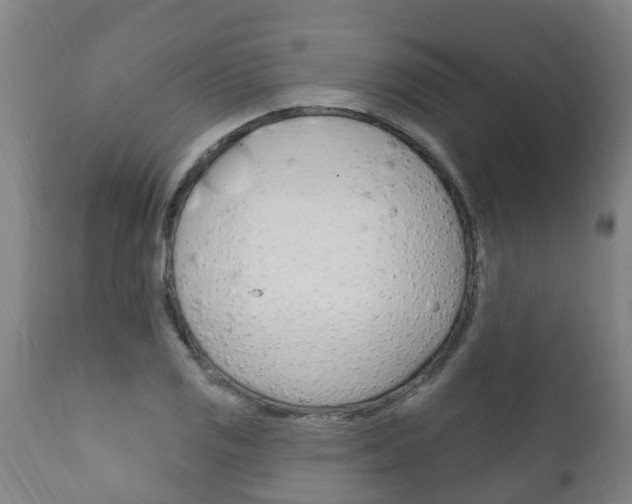 X0000111911125200907271028