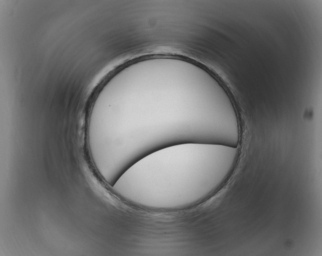 X0000111911126200907271028