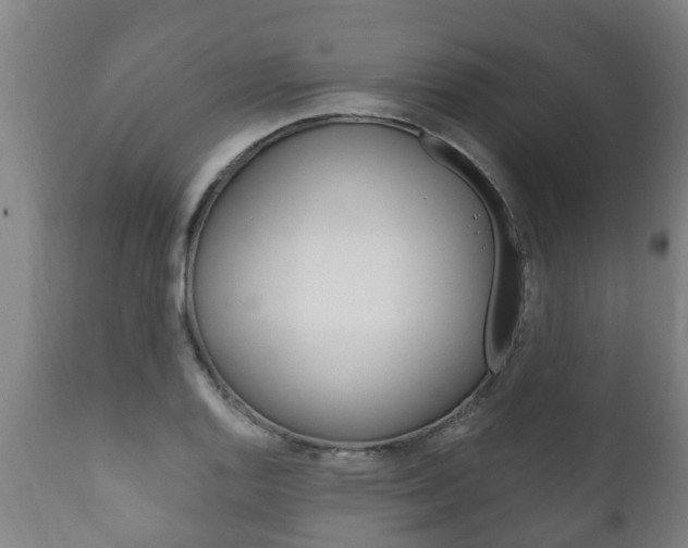 X0000111911128200907271028
