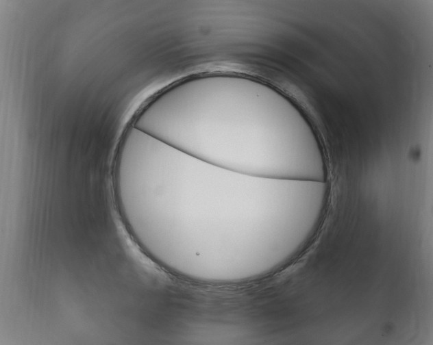 X0000111911133200907271028
