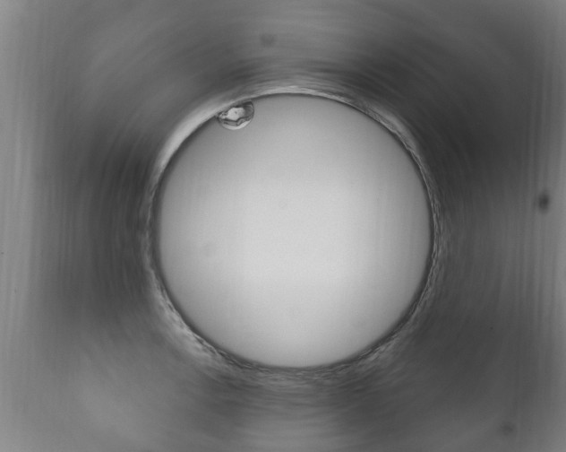 X0000111911138200907271028
