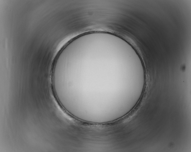 X0000111911141200907271028