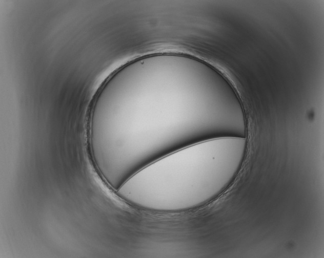 X0000111911142200907271028