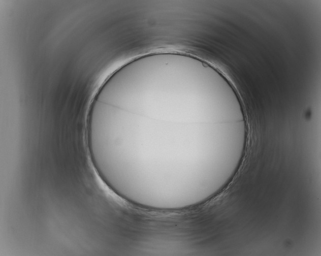 X0000111911143200907271028