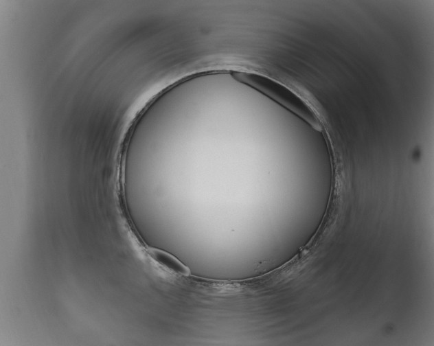 X0000111911144200907271028