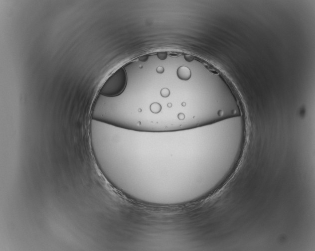 X0000111911145200907271028