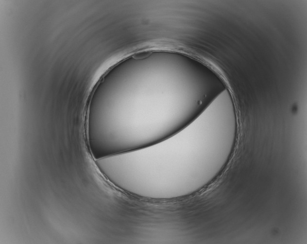 X0000111911146200907271028