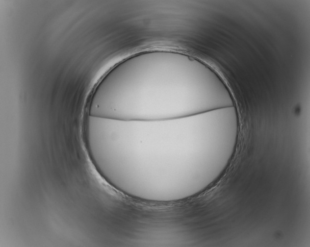 X0000111911147200907271028
