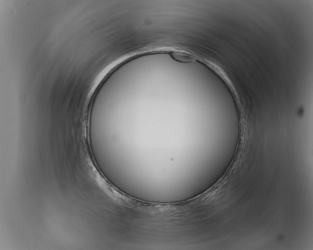 X0000111911148200907271028