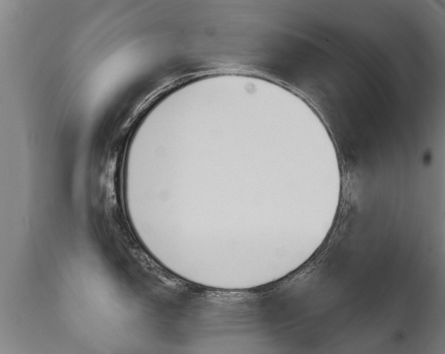 X0000111911150200907271028
