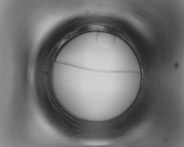X0000111911151200907271029