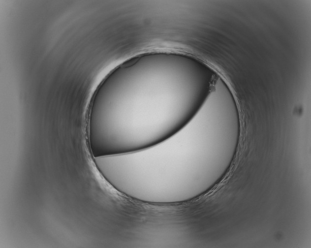 X0000111911152200907271029