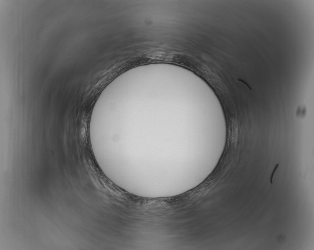 X0000111911154200907271028