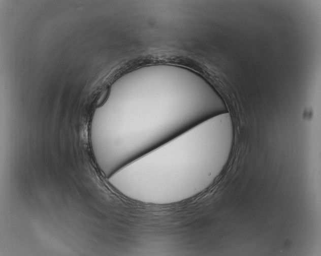 X0000111911155200907271028