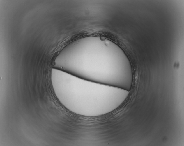 X0000111911156200907271028