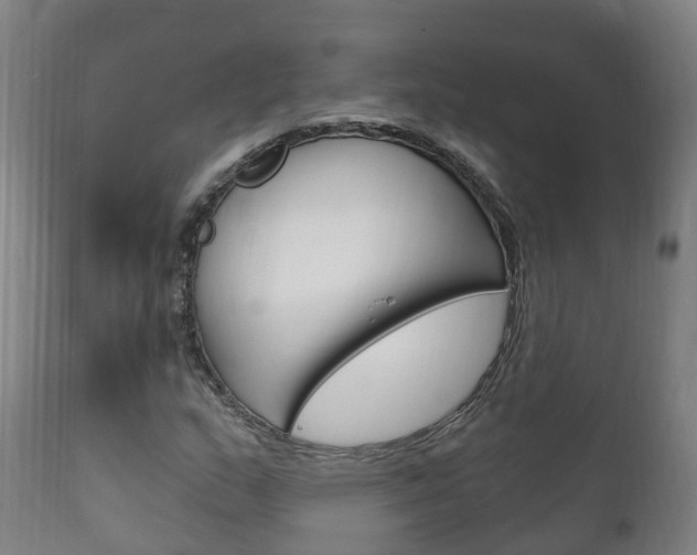 X0000111911159200907271028