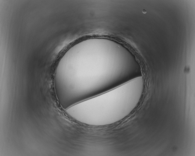 X0000111911160200907271028