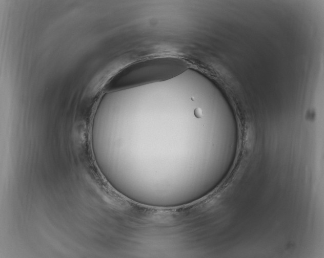 X0000111911161200907271028