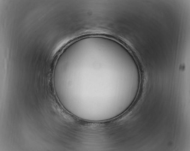 X0000111911163200907271028