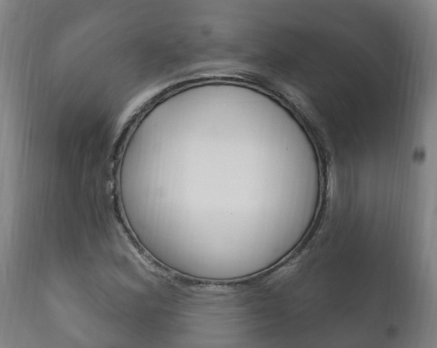 X0000111911164200907271028