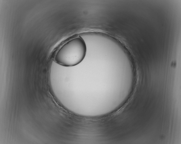 X0000111911165200907271028