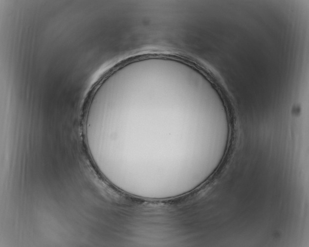 X0000111911168200907271028