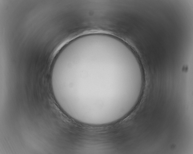 X0000111911173200907271028