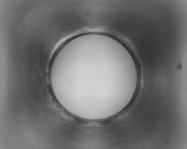 X0000111911174200907271028