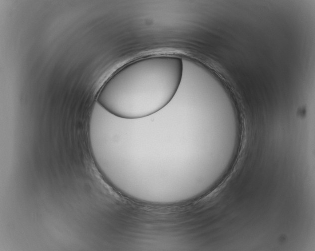 X0000111911177200907271028