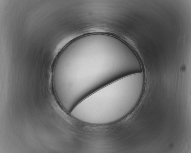 X0000111911179200907271028