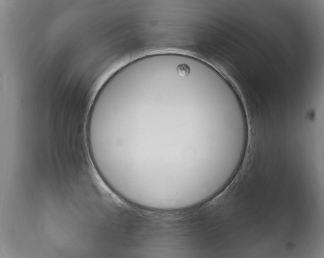 X0000111911189200907271027